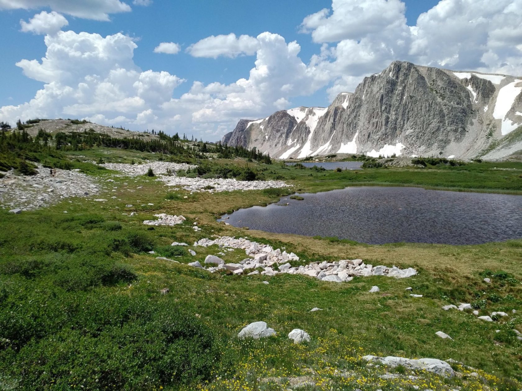 Medicine Bow WY