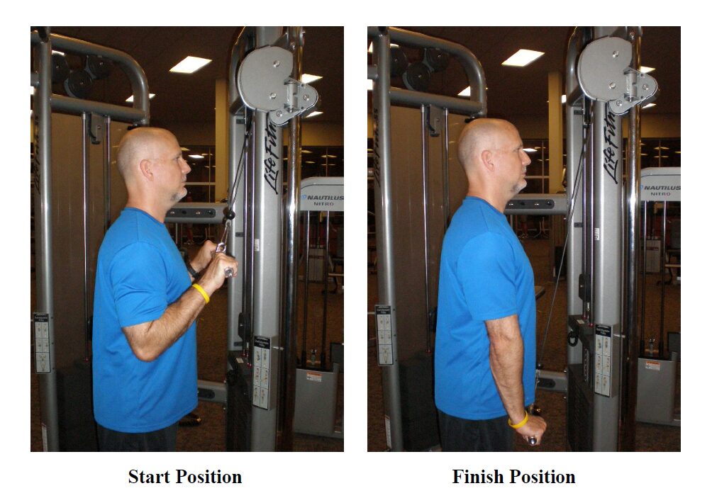 tricep pushdown